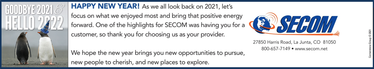Happy New Year From SECOM!